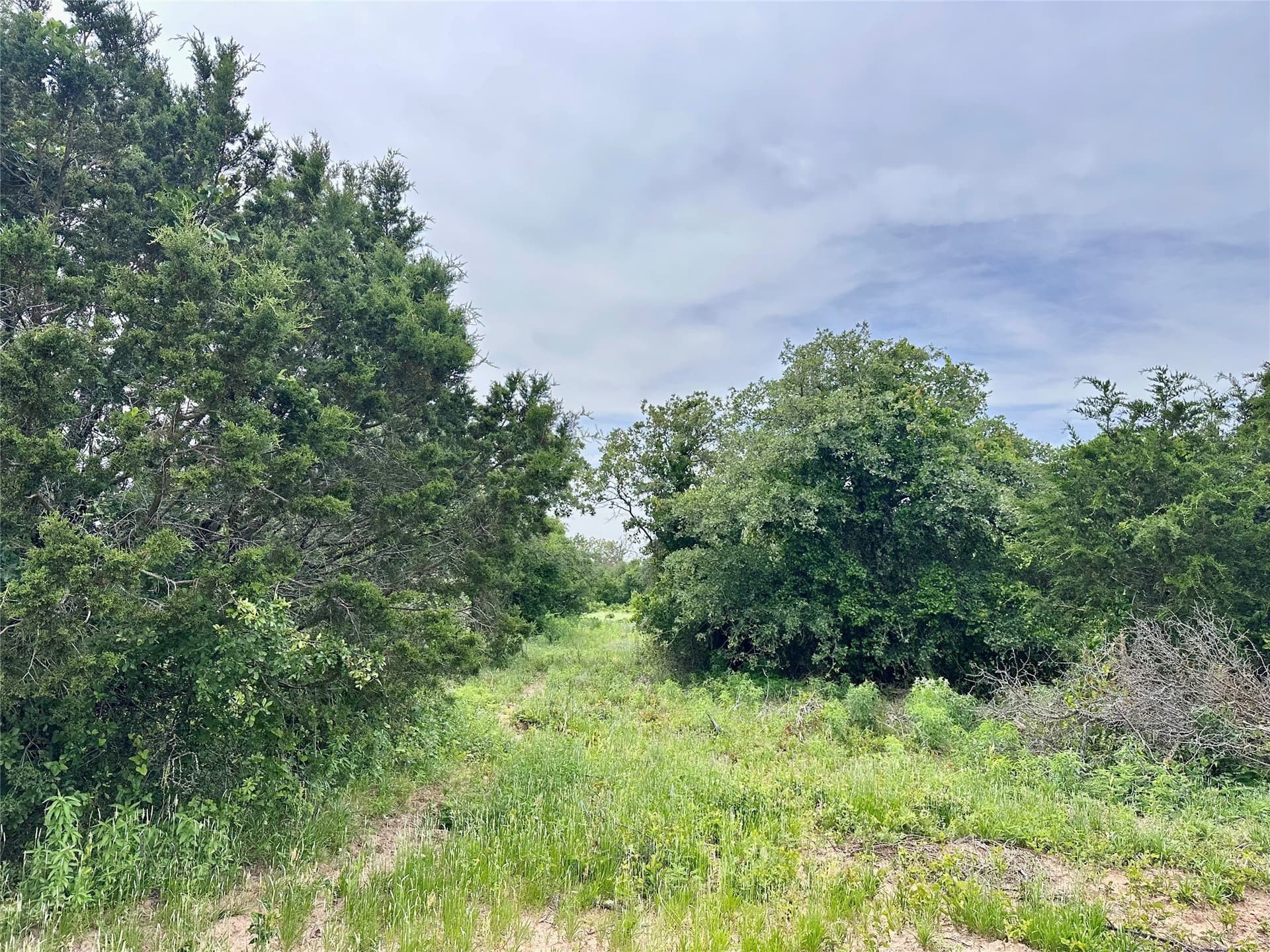 41.72 acres in Callahan County - photo 2
