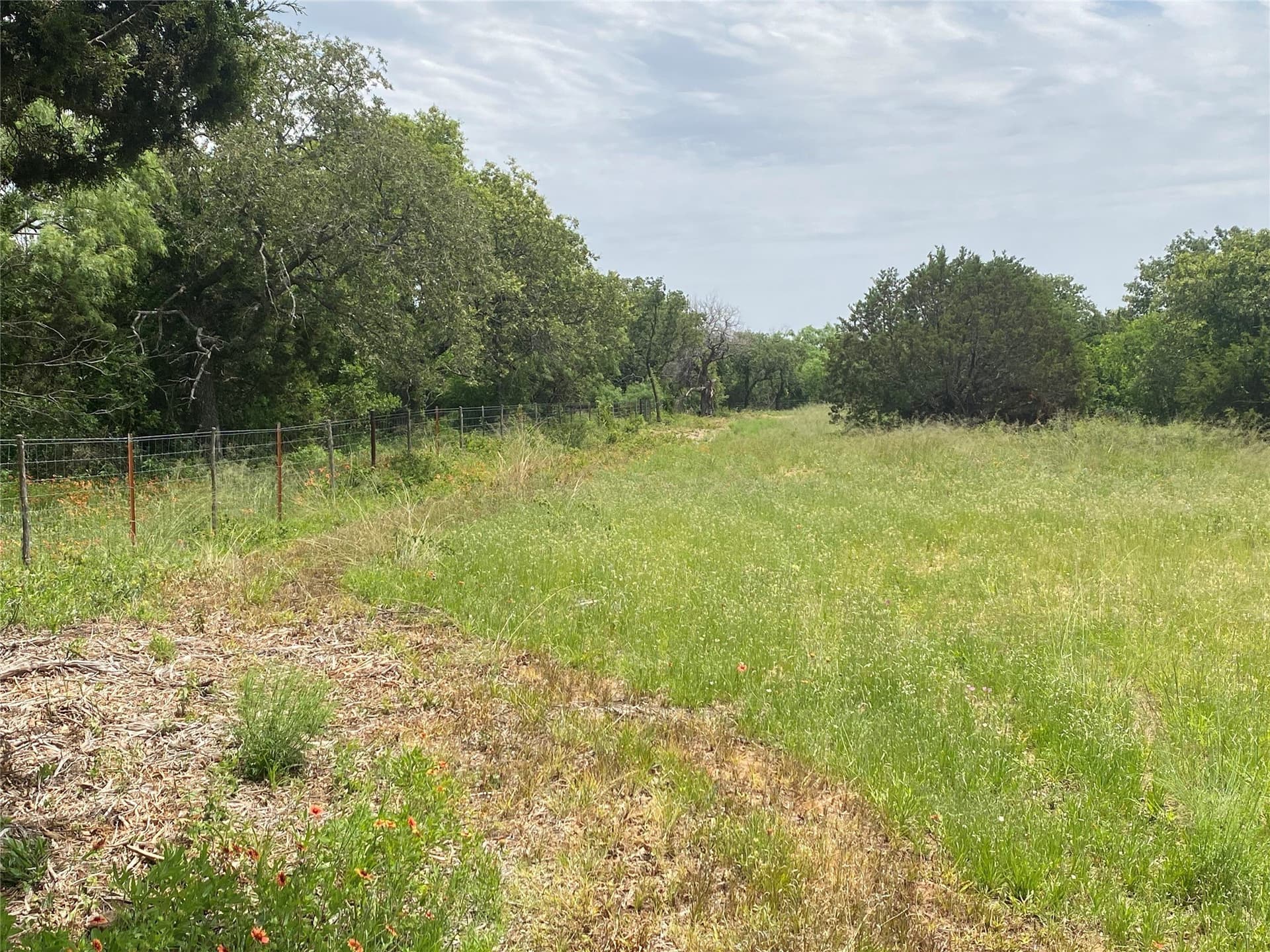 41.72 acres in Callahan County - photo 20