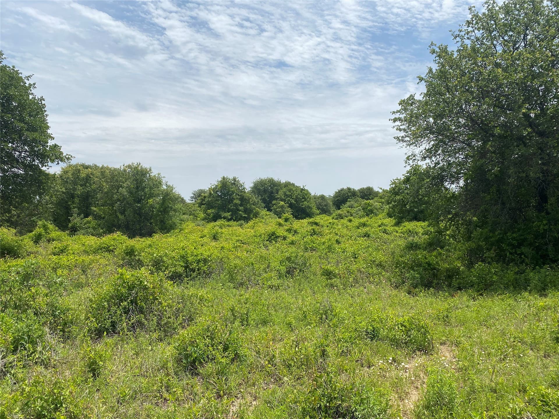 41.72 acres in Callahan County - photo 4