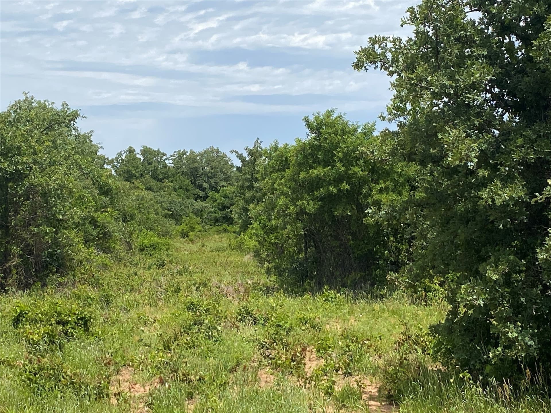 41.72 acres in Callahan County - photo 23