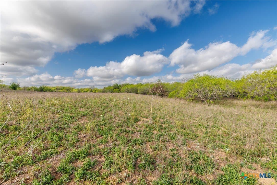 80.79 acres in Gonzales County