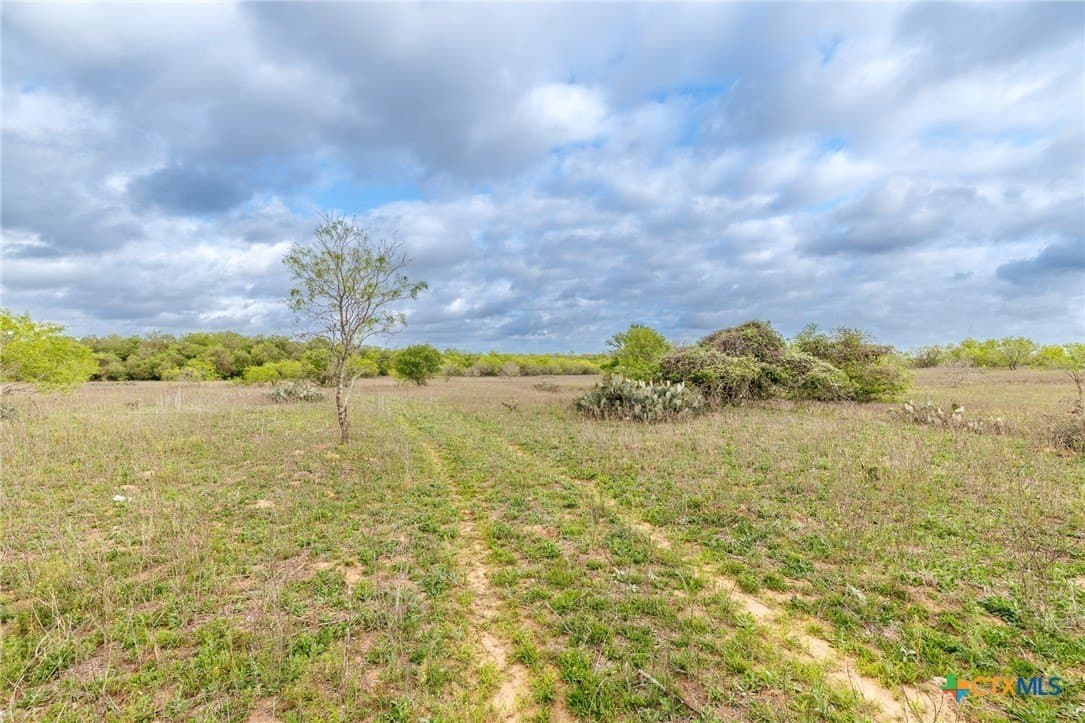 80.79 acres in Gonzales County featured view