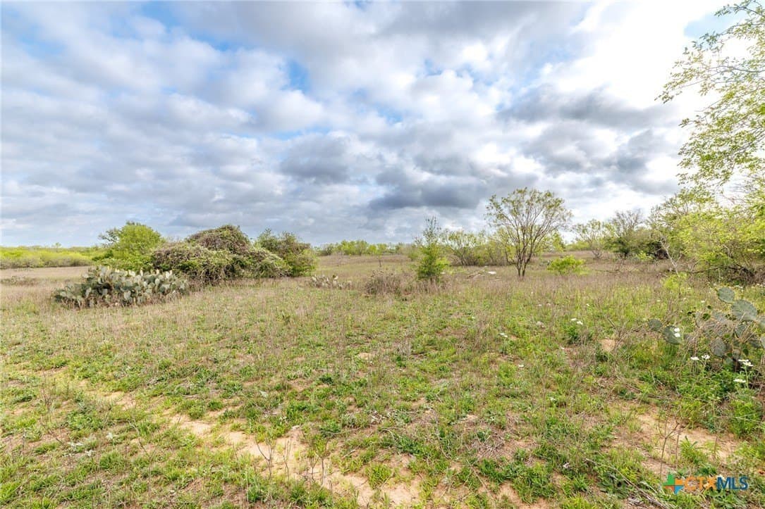 80.79 acres in Gonzales County gallery image 4