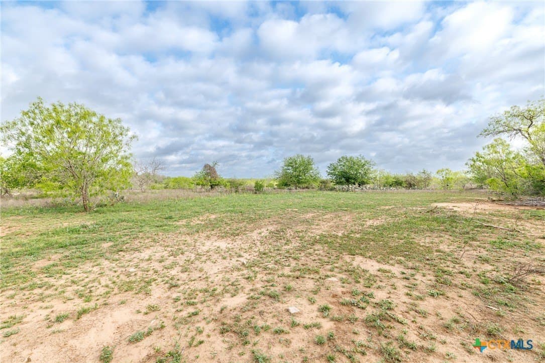 80.79 acres in Gonzales County gallery image 3
