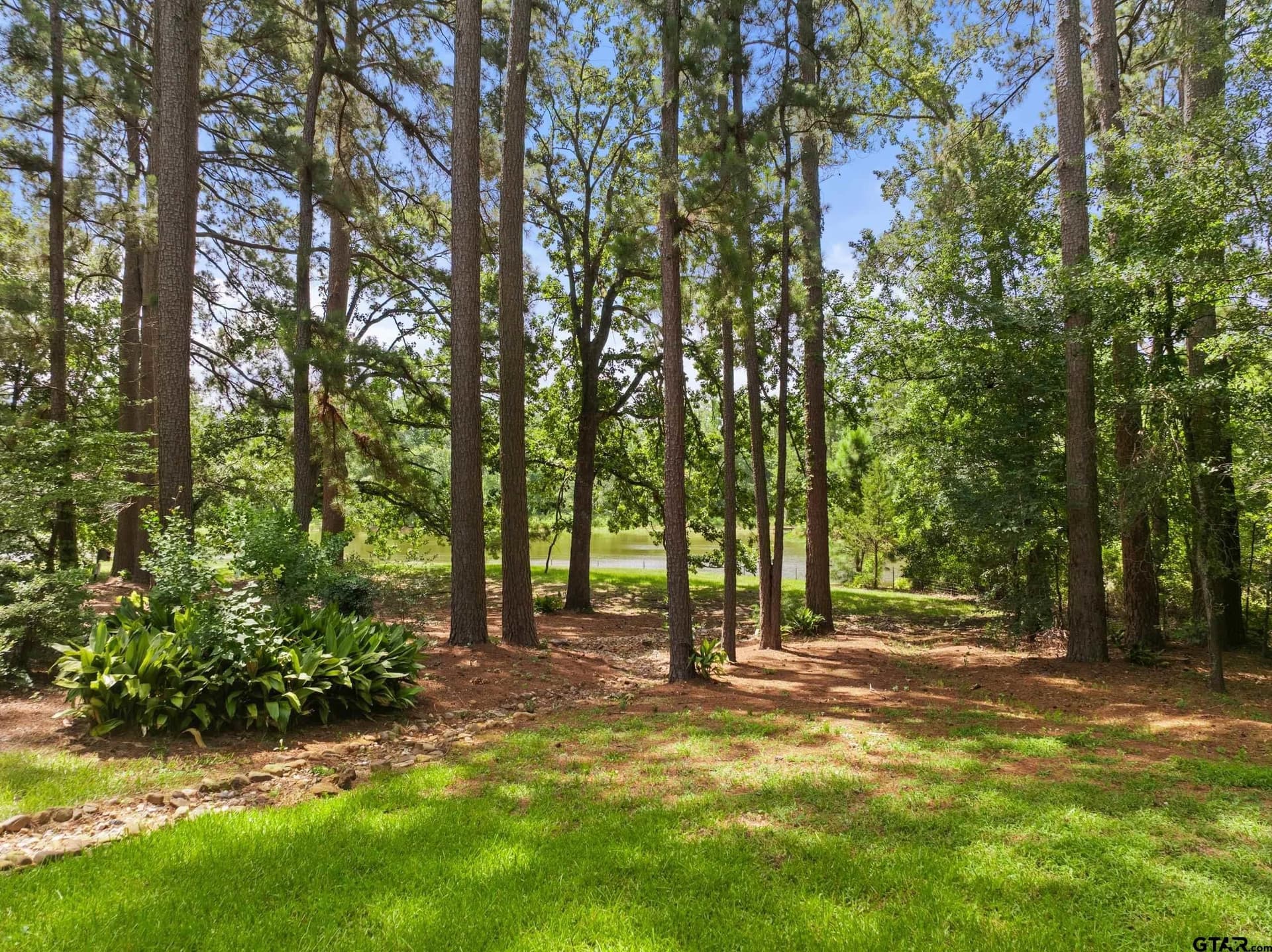 15.5 acres in Smith County - photo 29