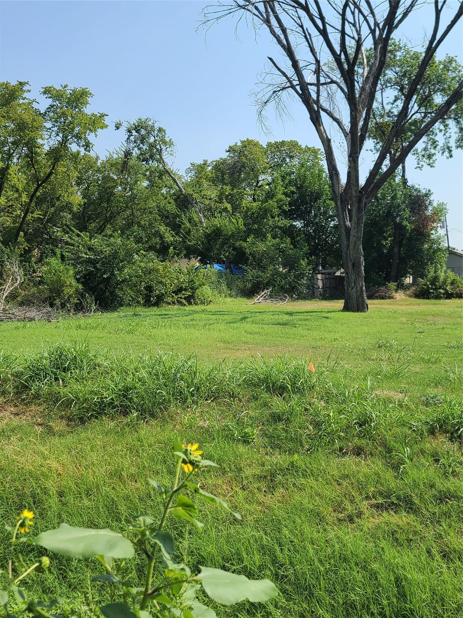 0.07 acres in Dallas County gallery image 2