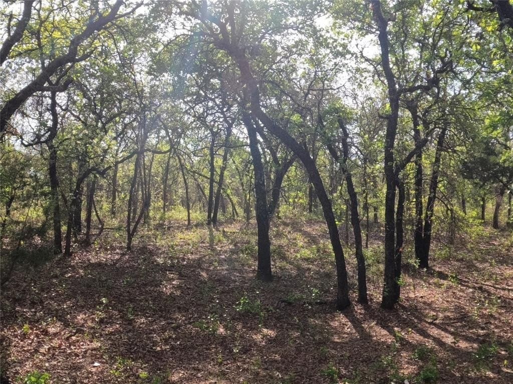 4.2 acres in Hood County gallery image 3