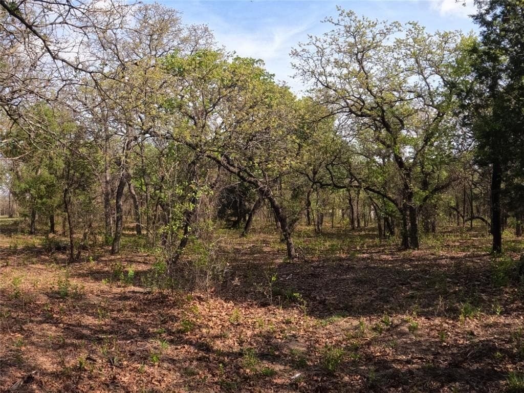 4.2 acres in Hood County gallery image 4