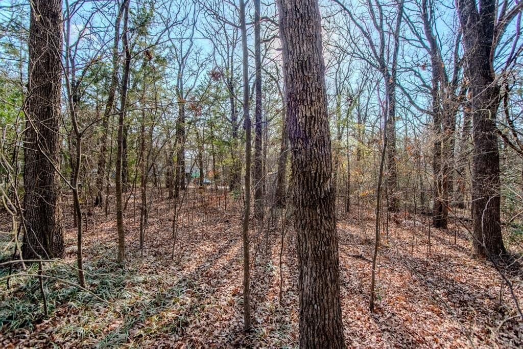 0.11 acres in Henderson County featured view