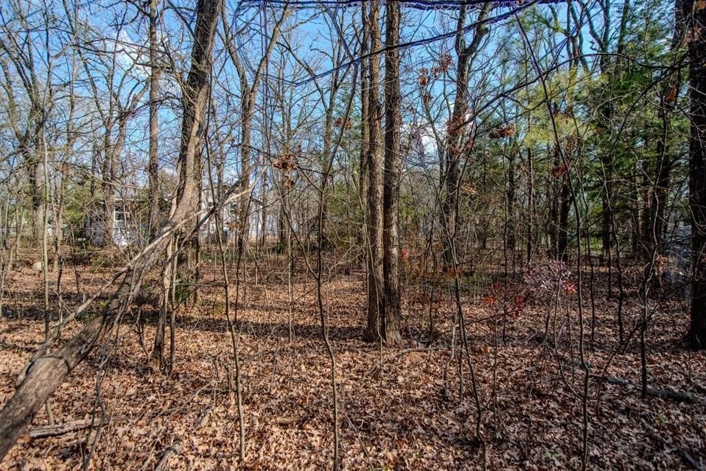 0.11 acres in Henderson County gallery image 3