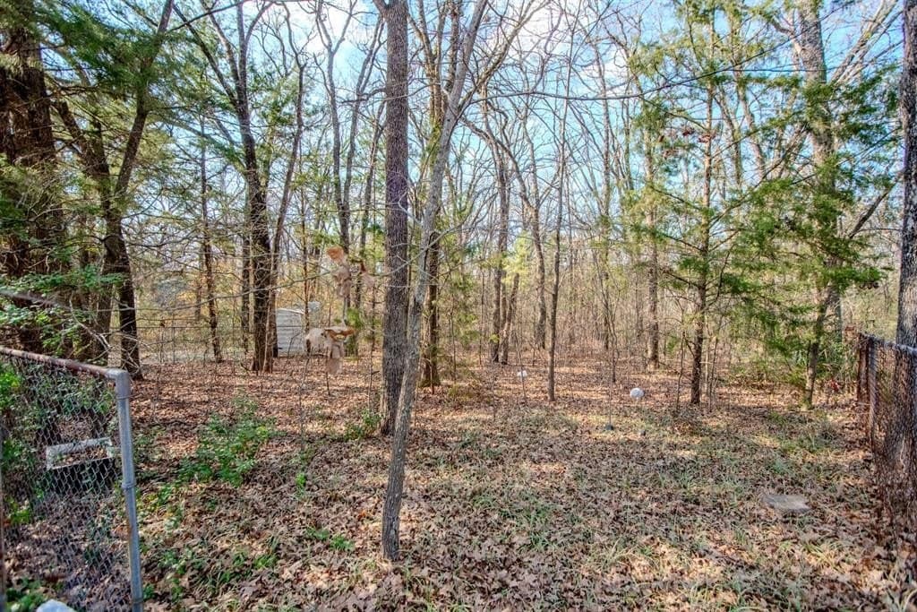 0.11 acres in Henderson County gallery image 4