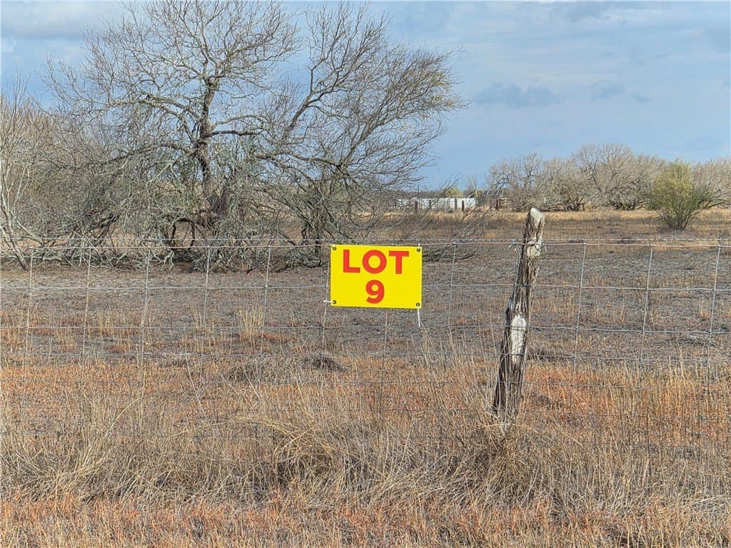 2.5 acres in Kleberg County gallery image 2