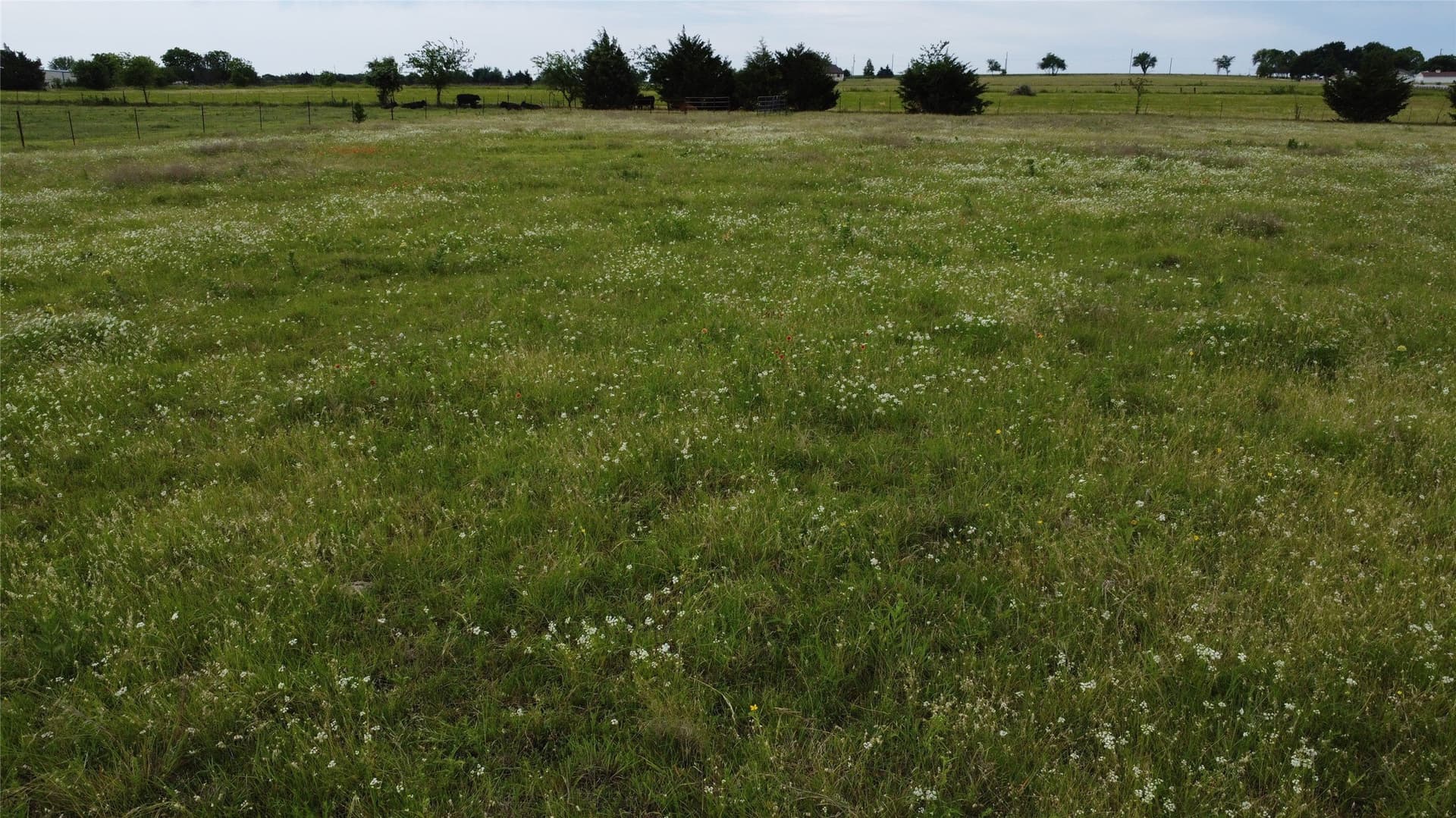 20.82 acres in Ellis County - photo 15