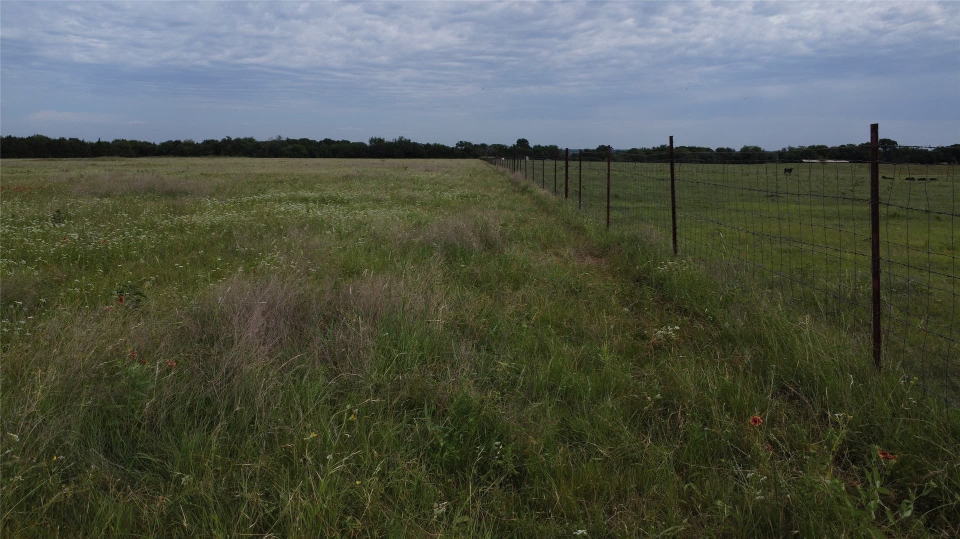 20.82 acres in Ellis County - photo 2