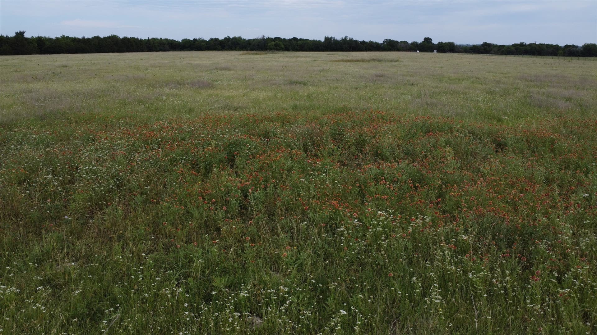 20.82 acres in Ellis County - photo 14