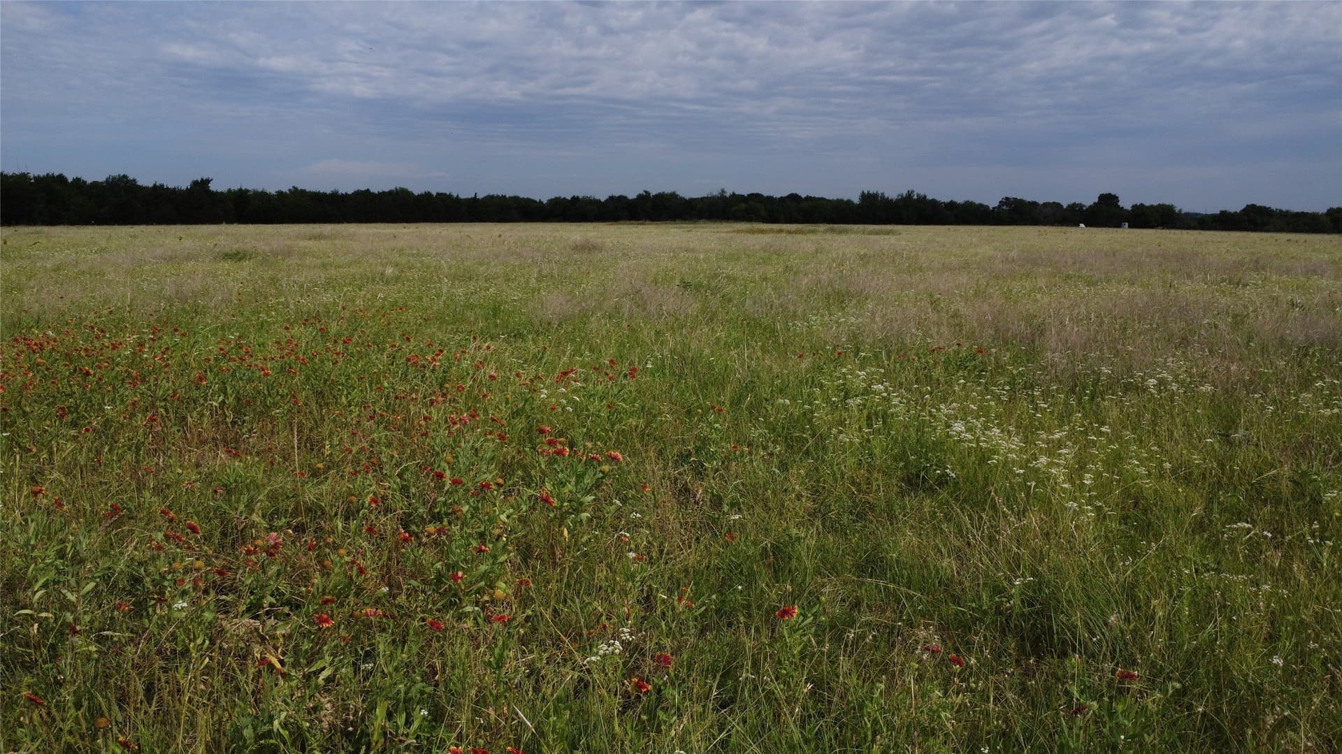 20.82 acres in Ellis County - photo 5