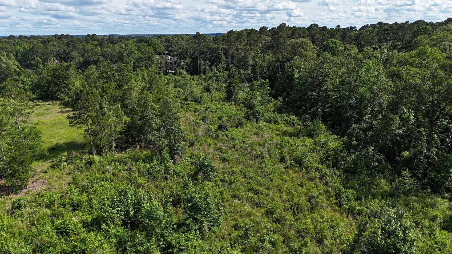 15.28 acres in Texas County - photo 6