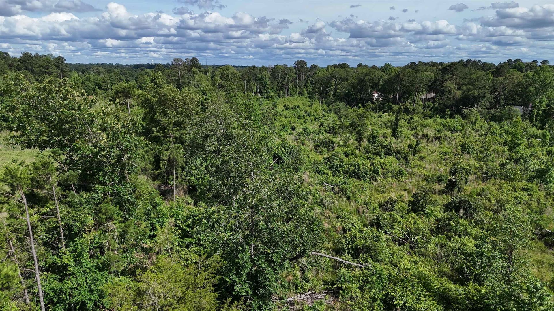 15.28 acres in Texas County - photo 8