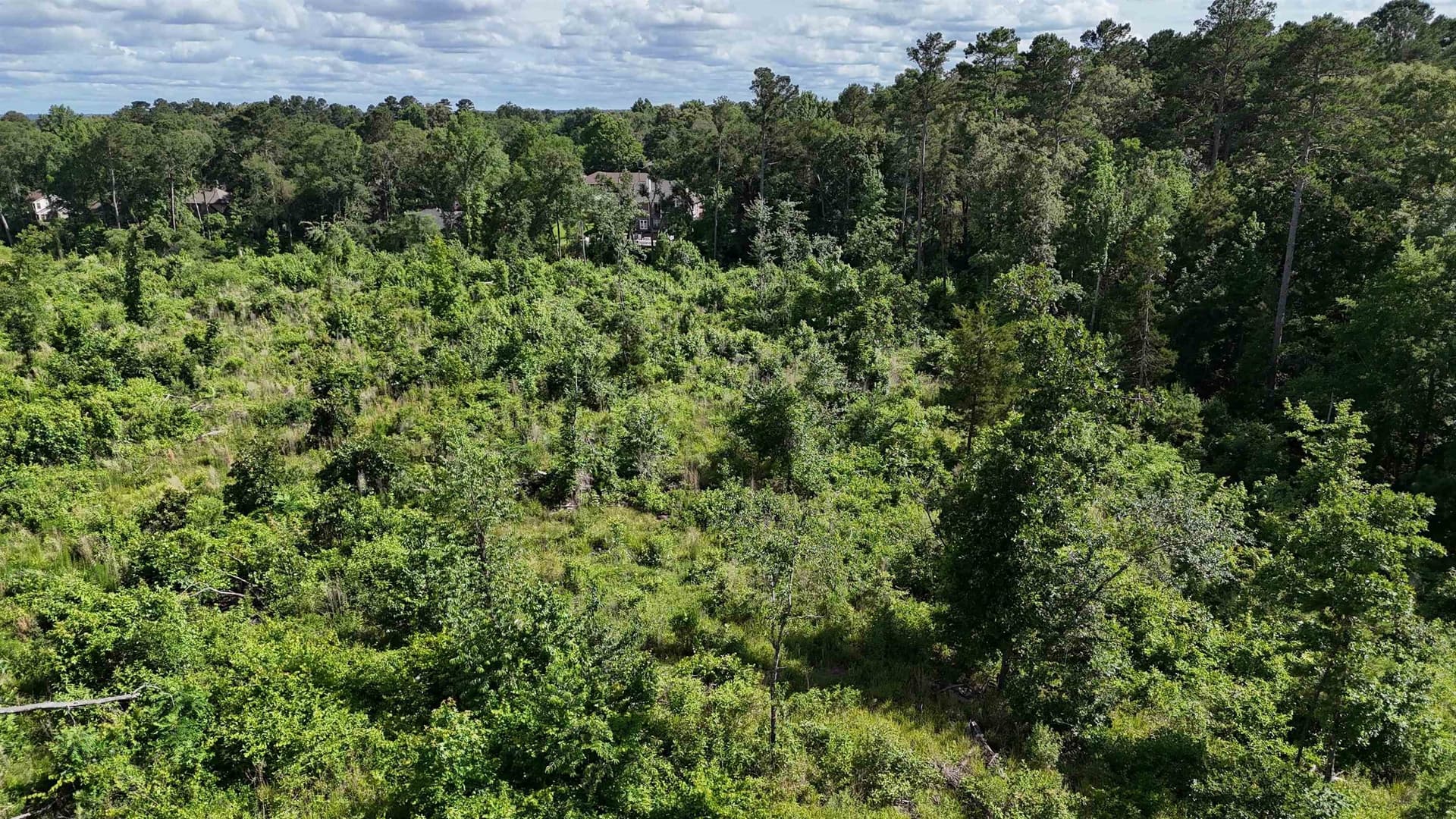 15.28 acres in Texas County - photo 7