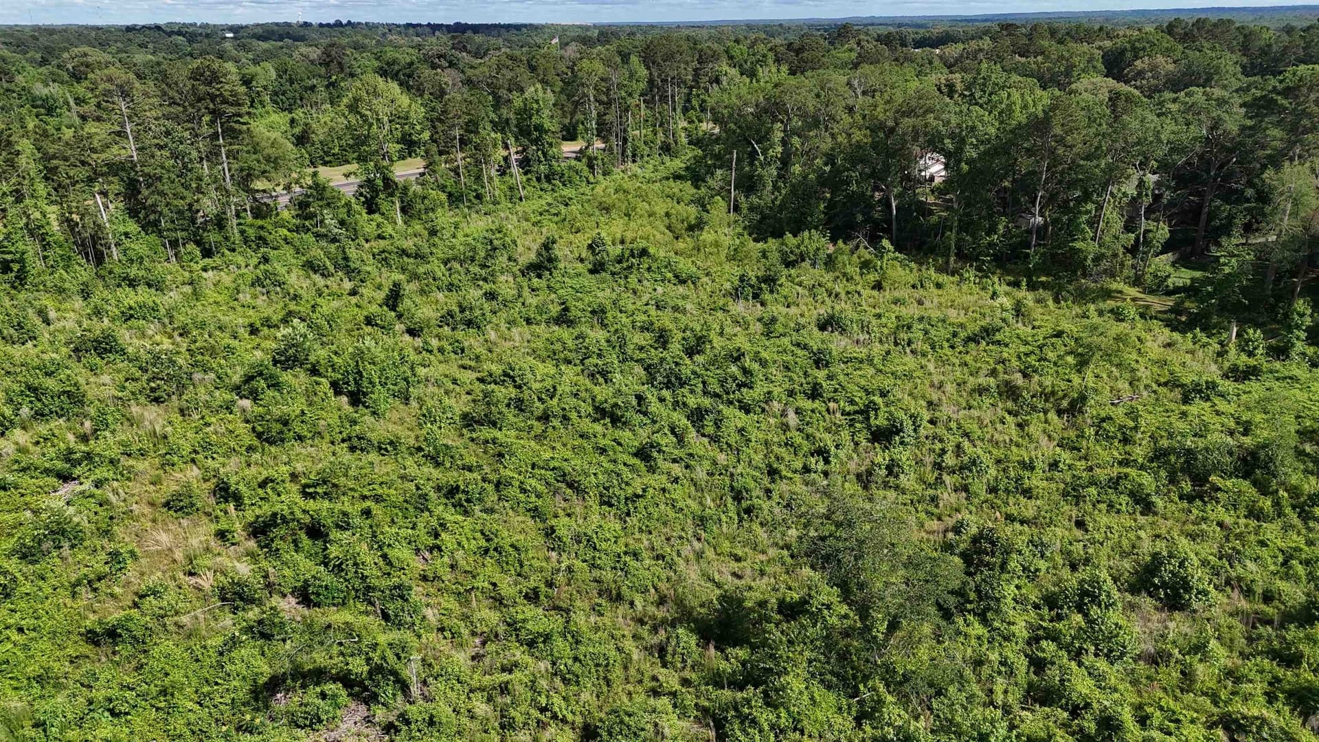 15.28 acres in Texas County - photo 9