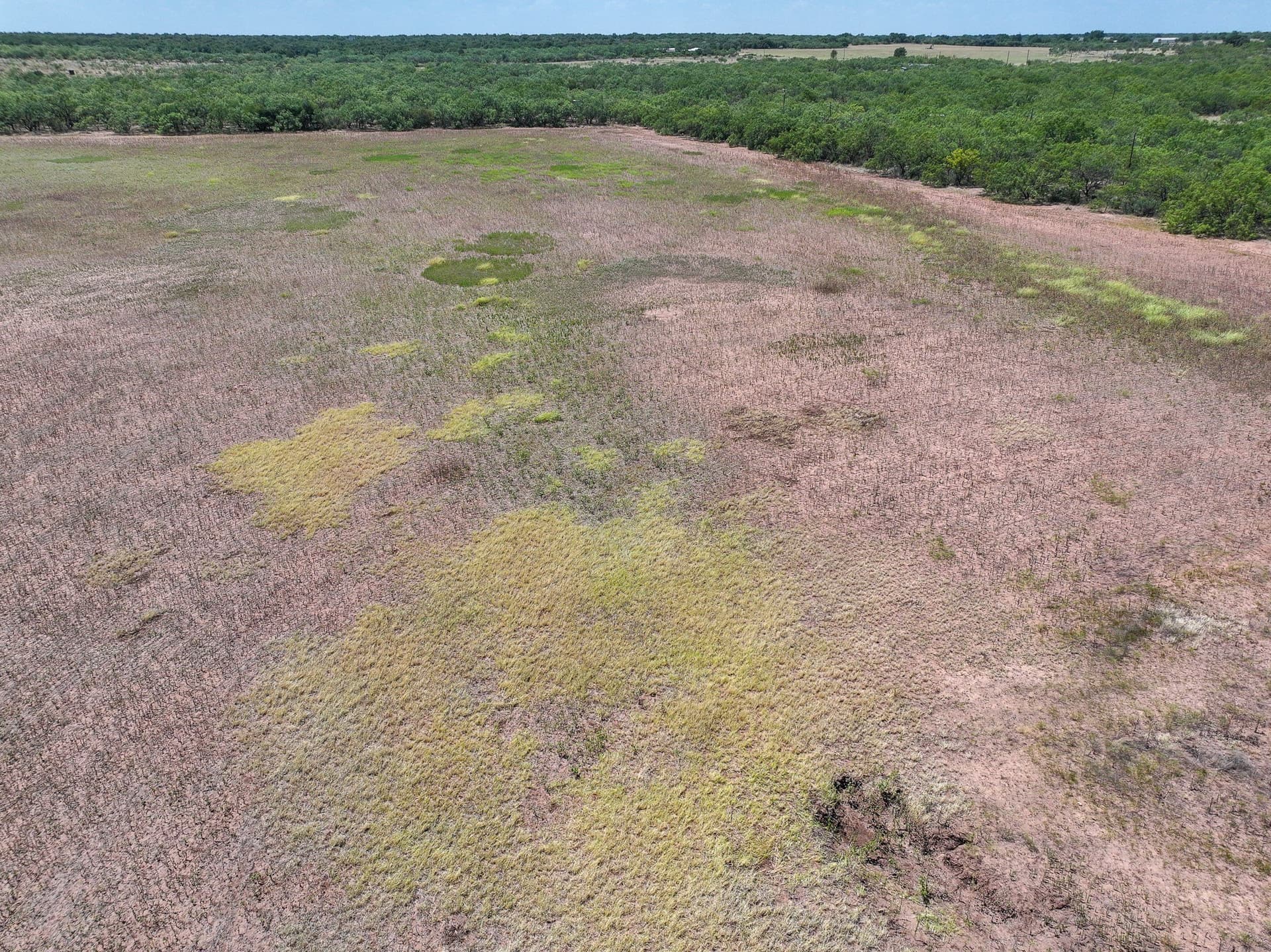 13 acres in Jones County - photo 17