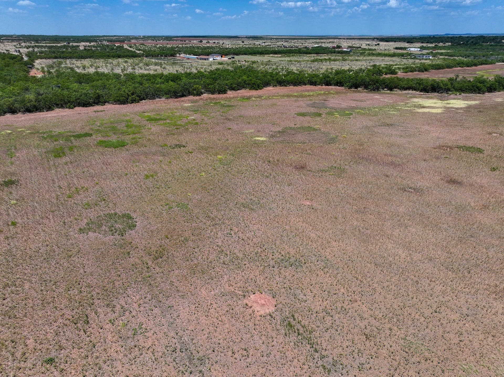 13 acres in Jones County - photo 13