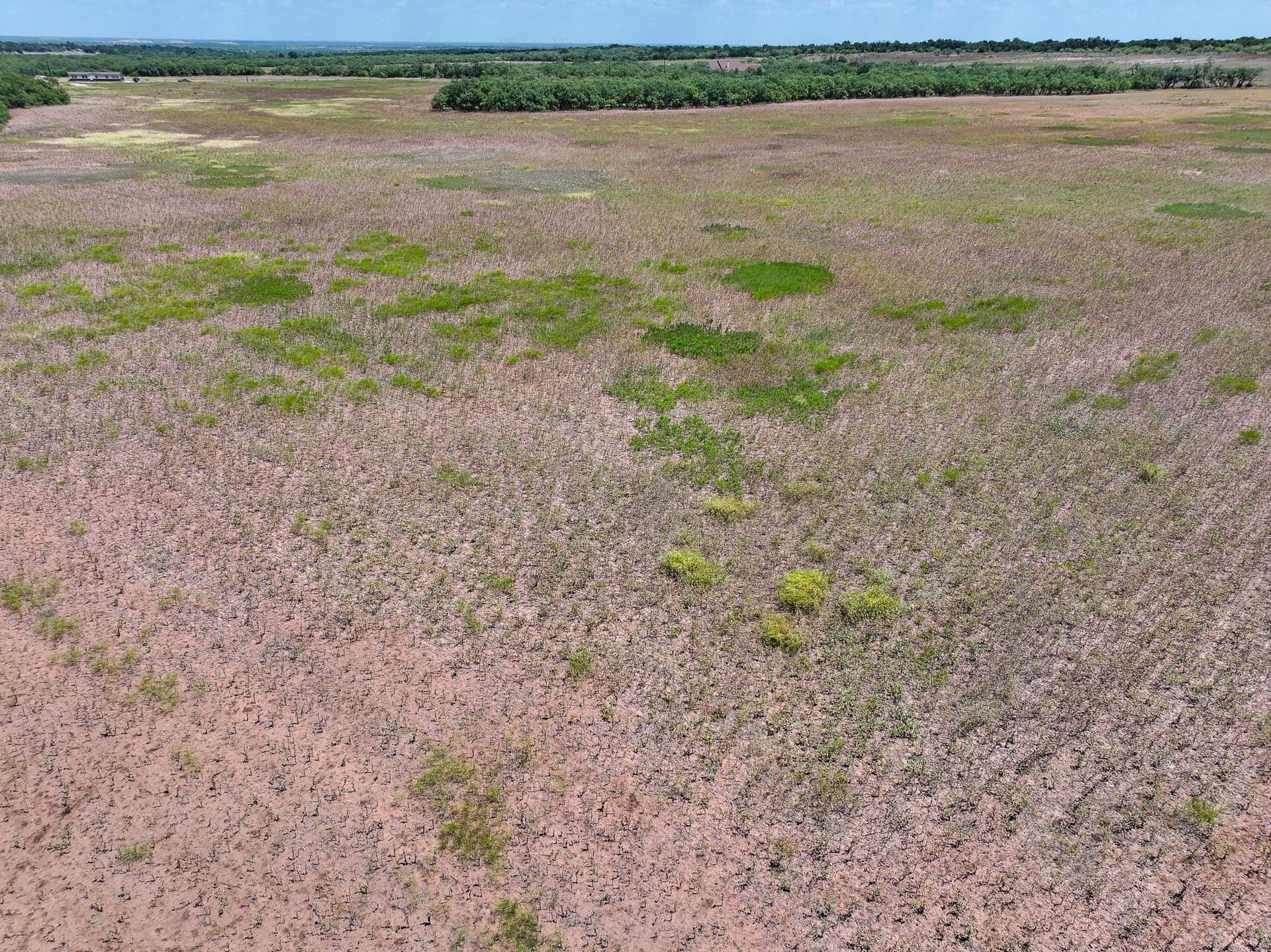 13 acres in Jones County - photo 16