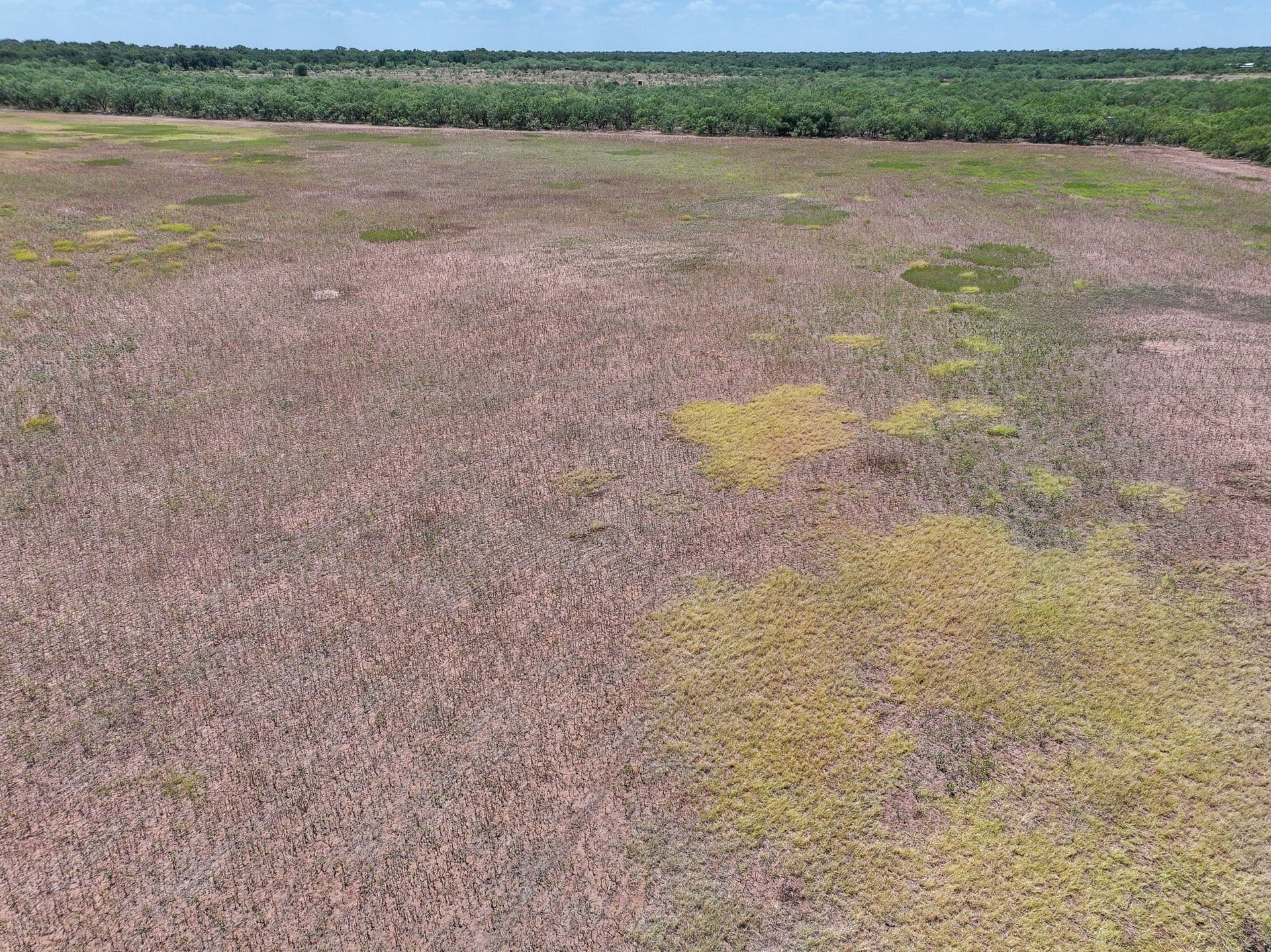 13 acres in Jones County - photo 19