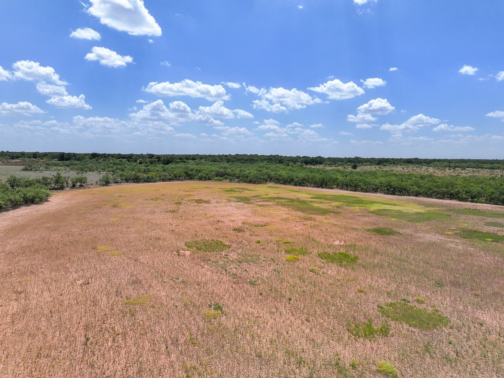 13 acres in Jones County - photo 4
