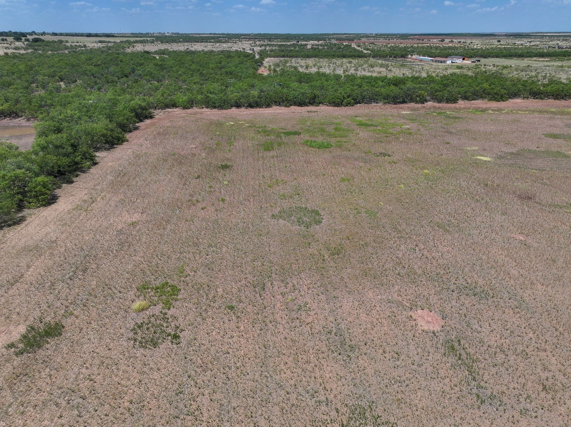 13 acres in Jones County - photo 12