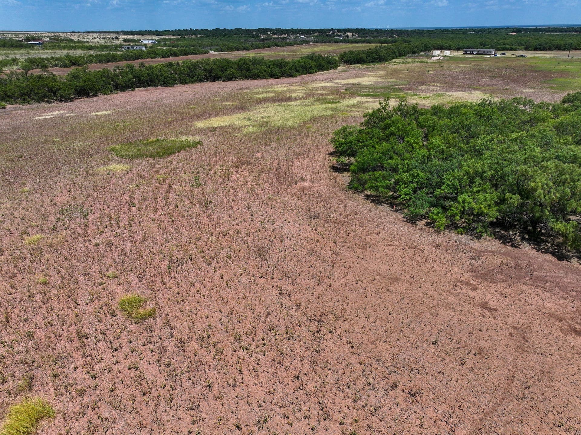 13 acres in Jones County - photo 10