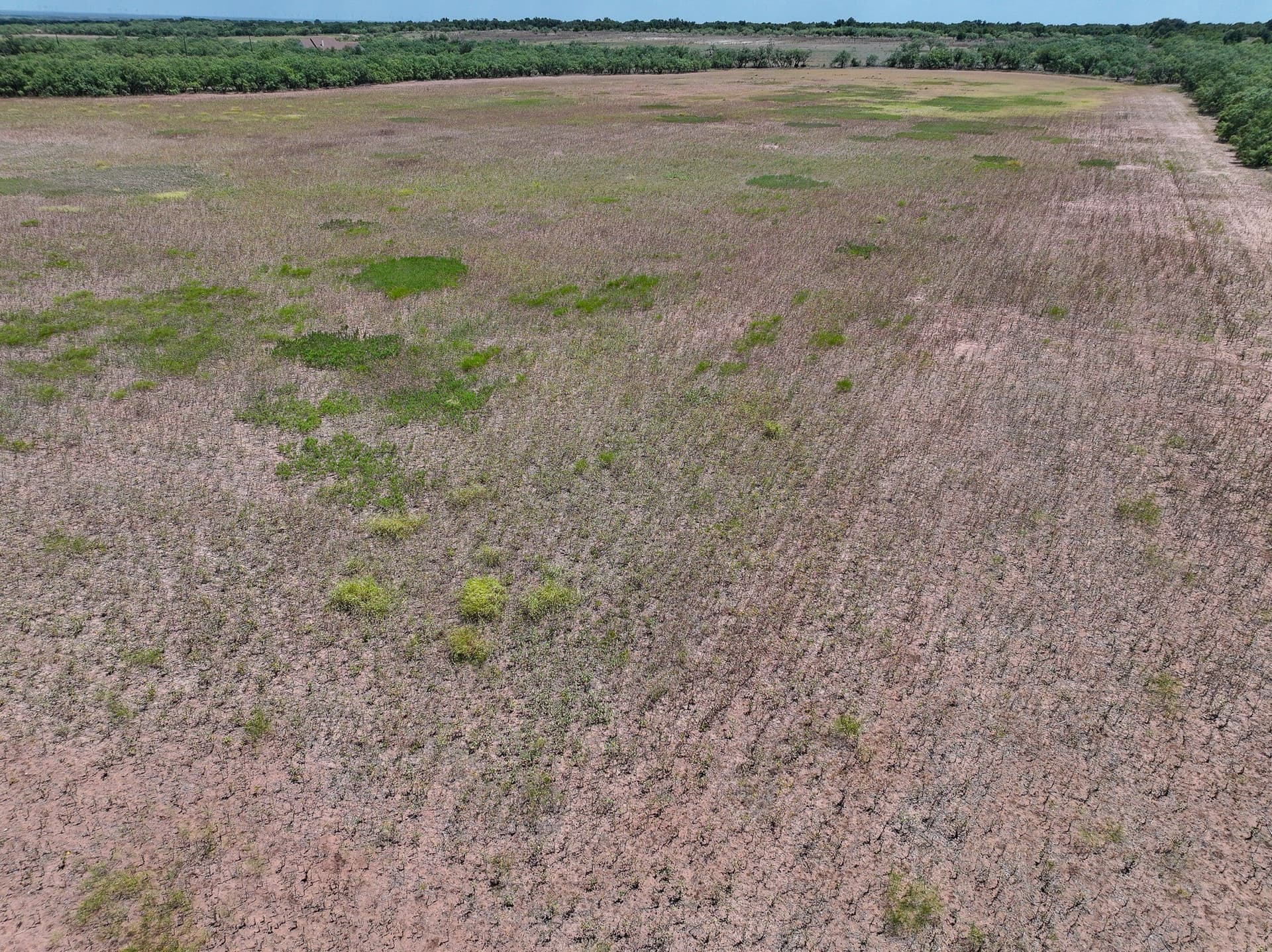 13 acres in Jones County - photo 15
