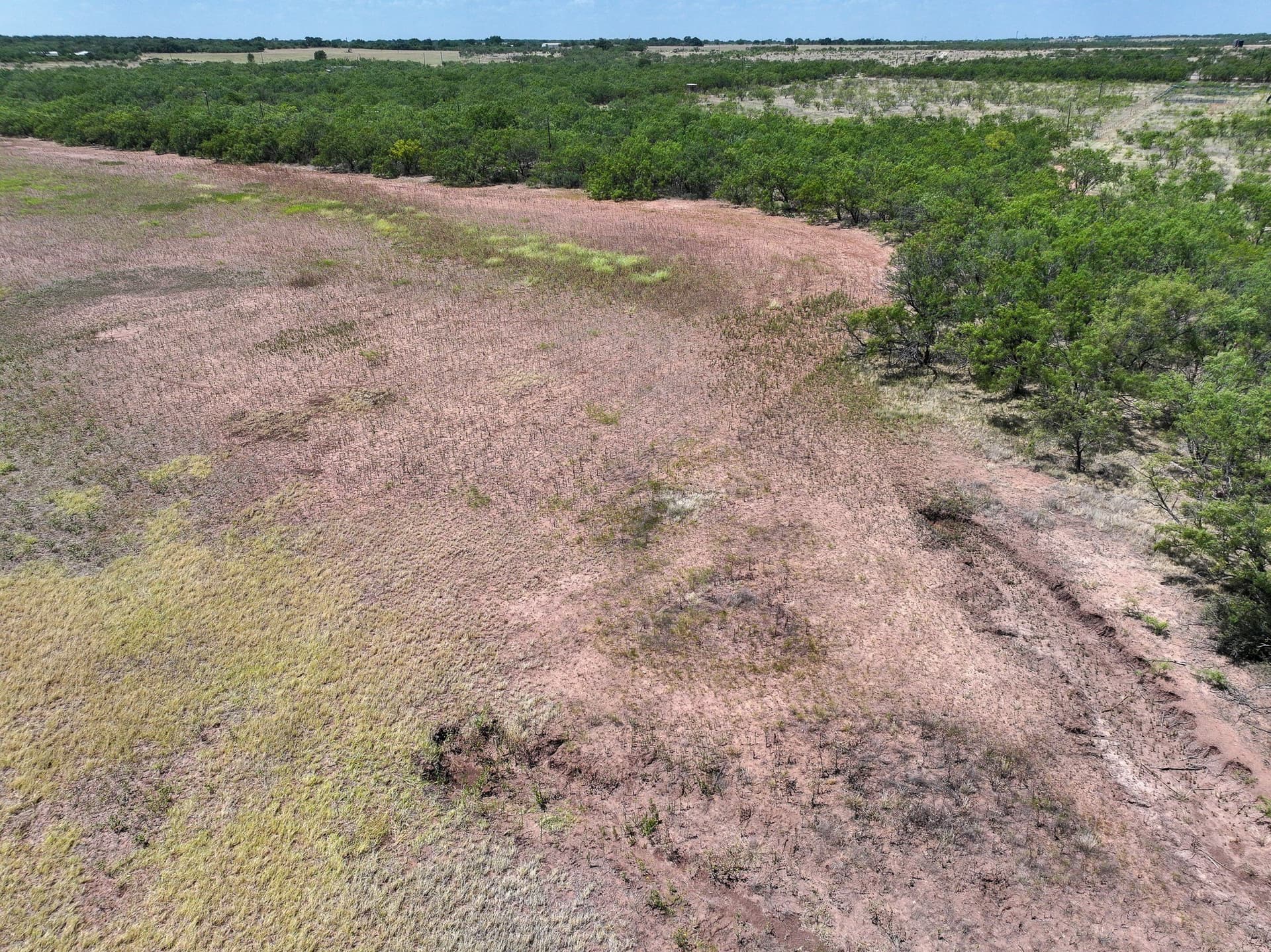 13 acres in Jones County - photo 18