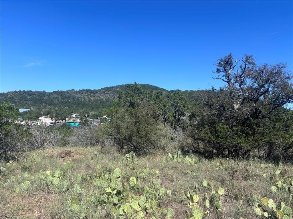 0.13 acres in Burnet County gallery image 3