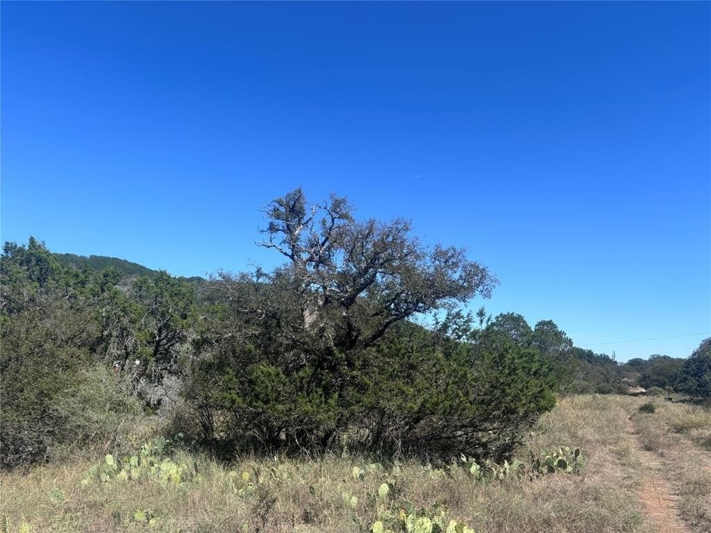 0.13 acres in Burnet County gallery image 2