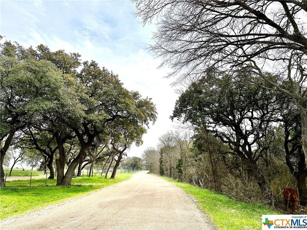 9 acres in Coryell County - photo 7