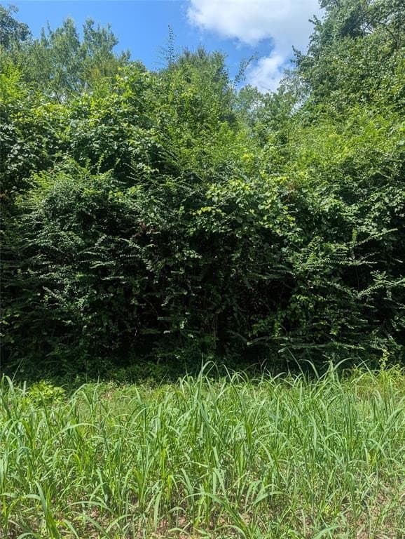 10.91 acres in Wood County gallery image 4