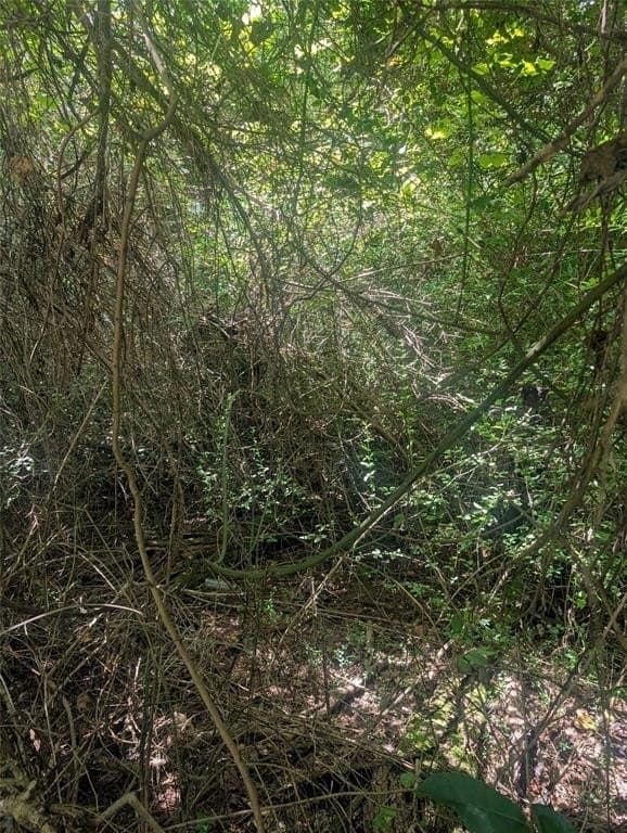 10.91 acres in Wood County gallery image 3