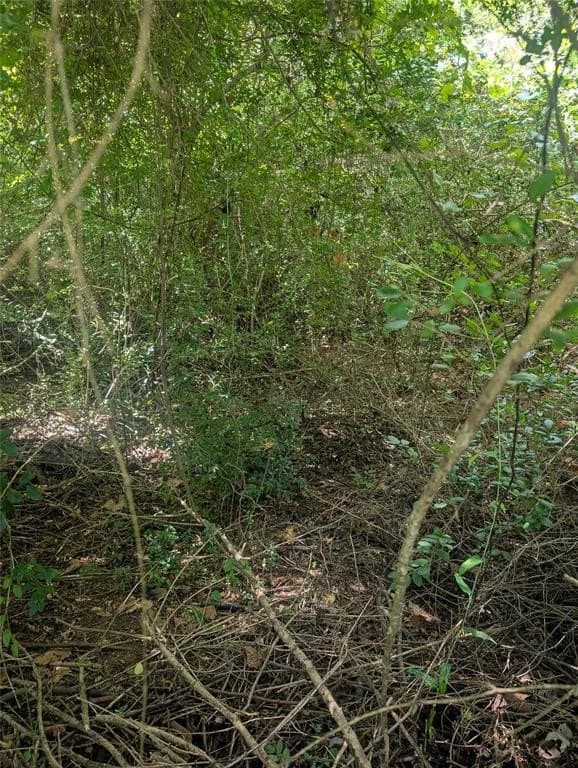 10.91 acres in Wood County gallery image 2