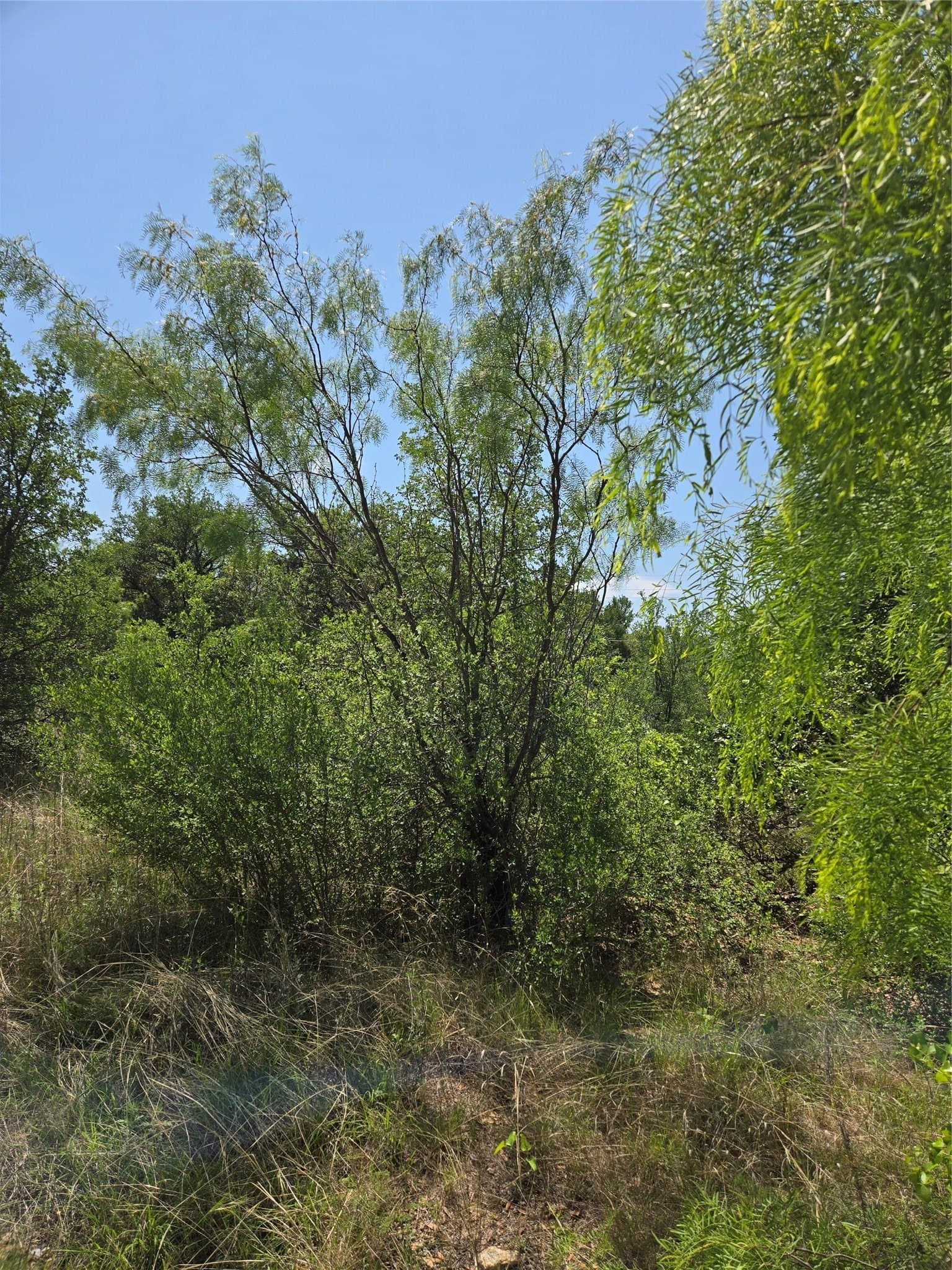 0.12 acres in Brown County - photo 2