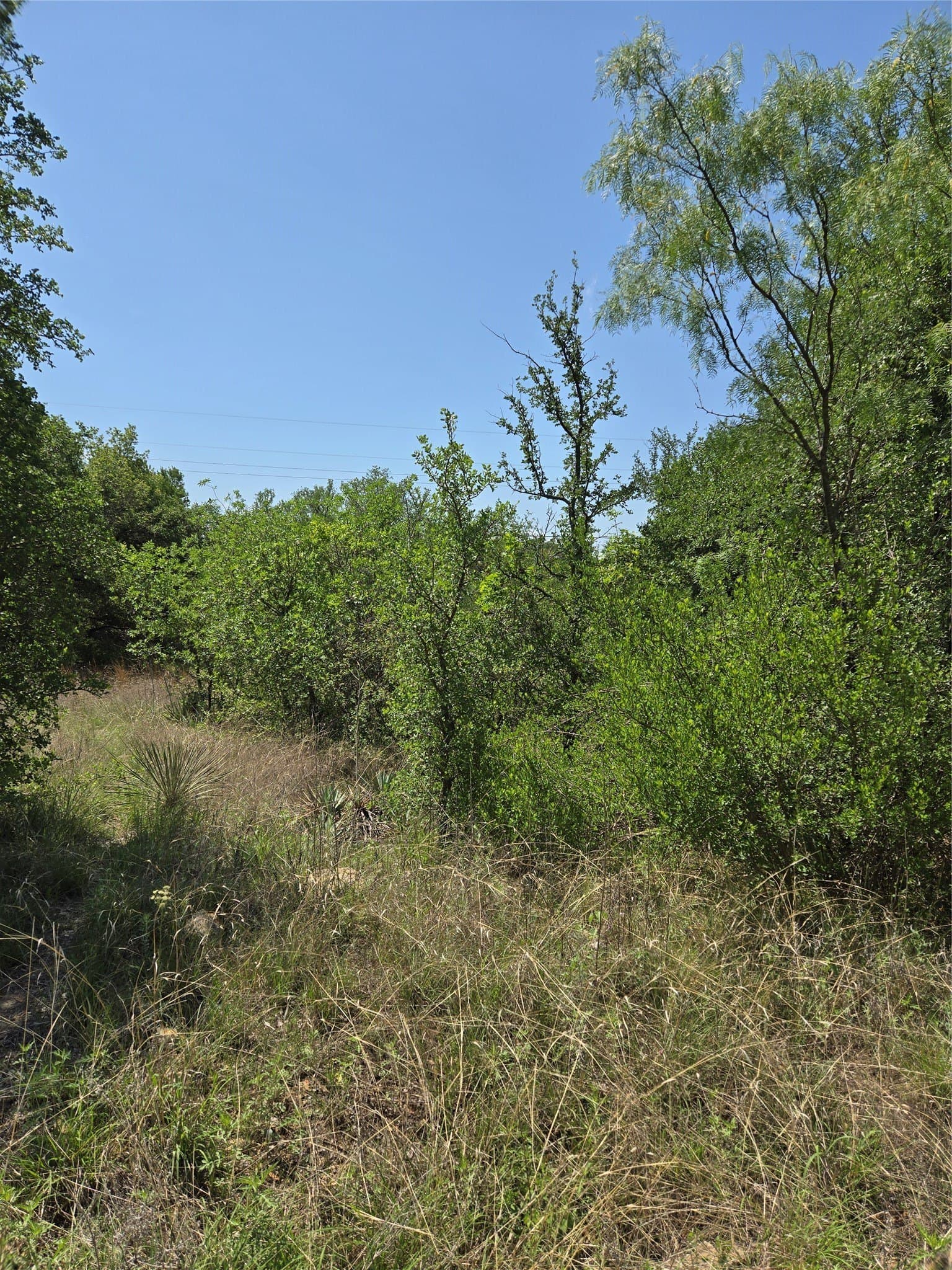0.12 acres in Brown County - photo 3