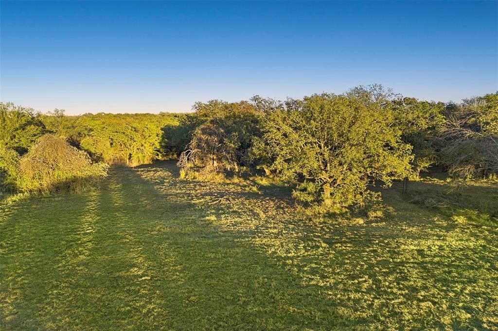 5 acres in Wise County gallery image 4