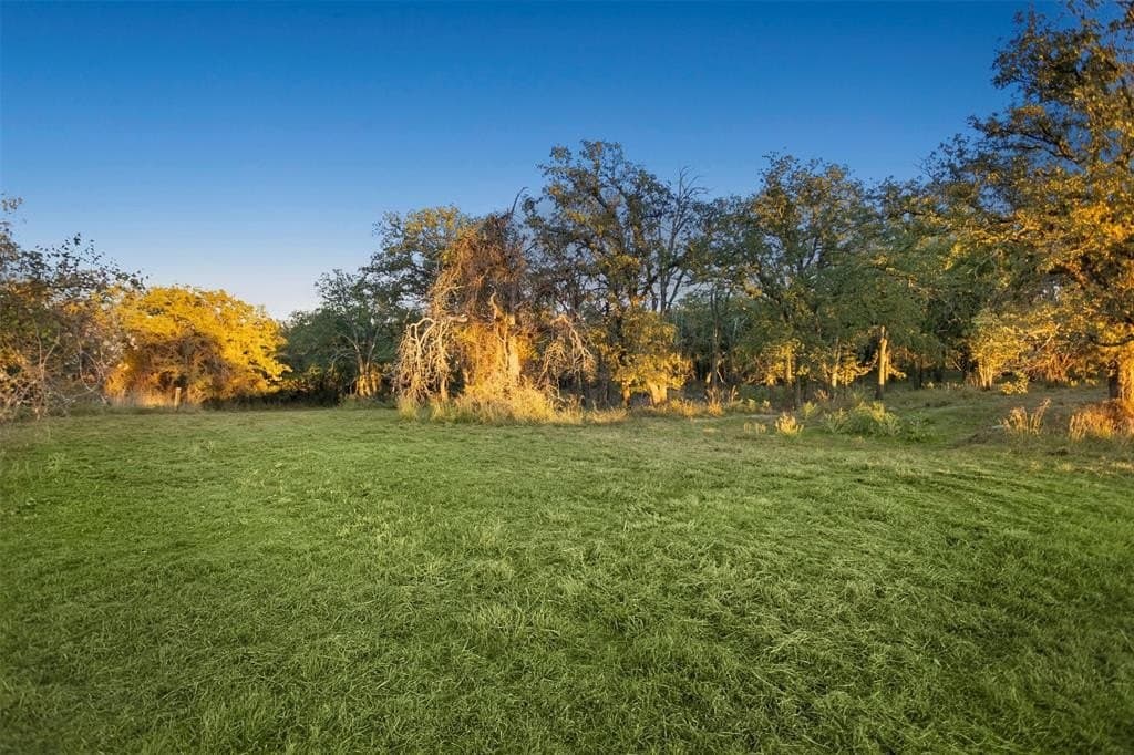 5 acres in Wise County gallery image 3