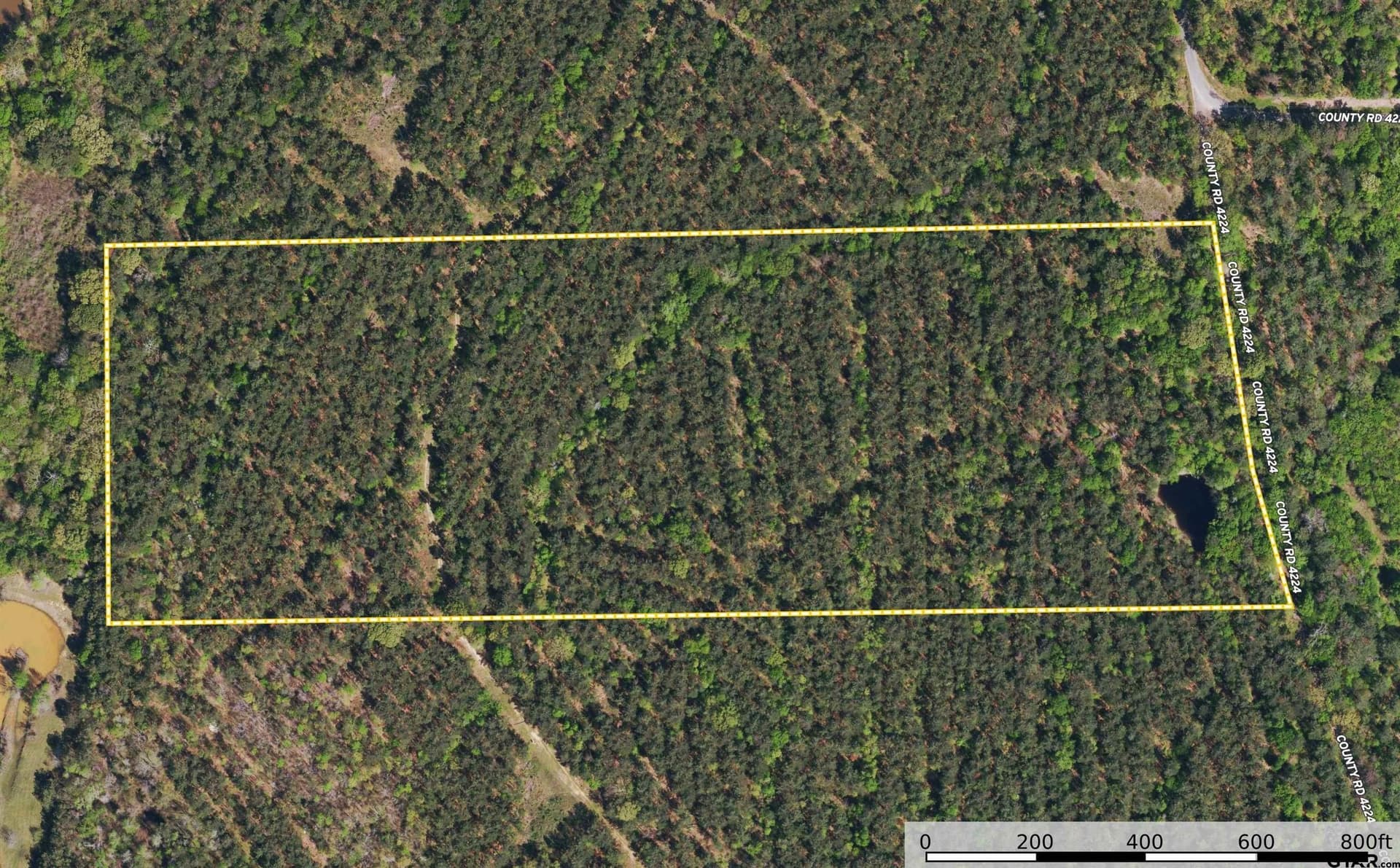 32 acres in Henderson County - photo 10
