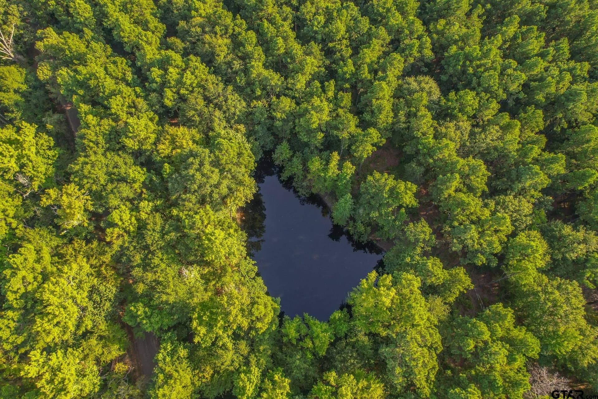 32 acres in Henderson County - photo 2