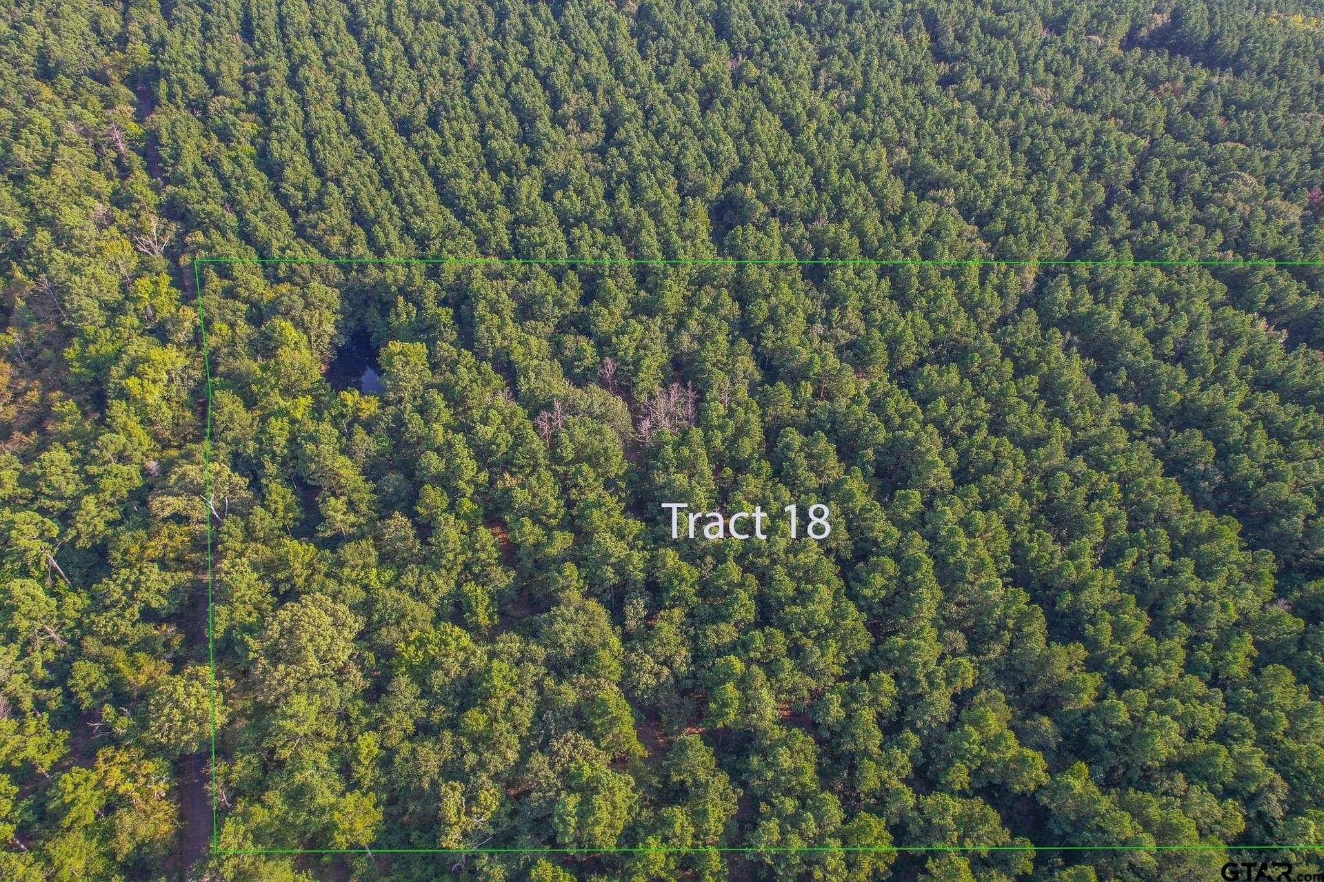32 acres in Henderson County