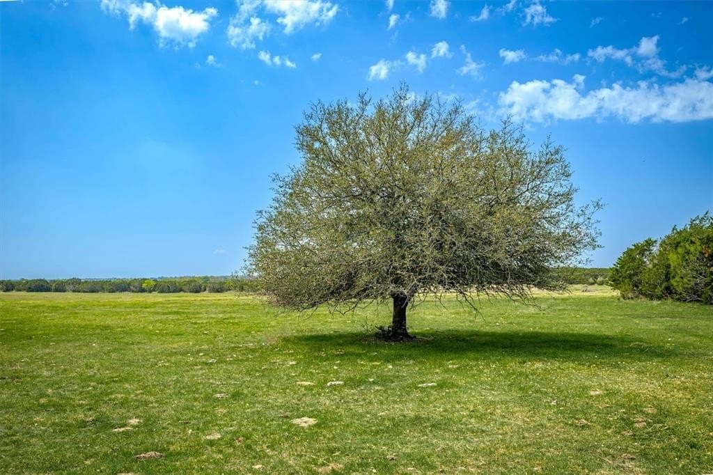 111 acres in McLennan County featured view