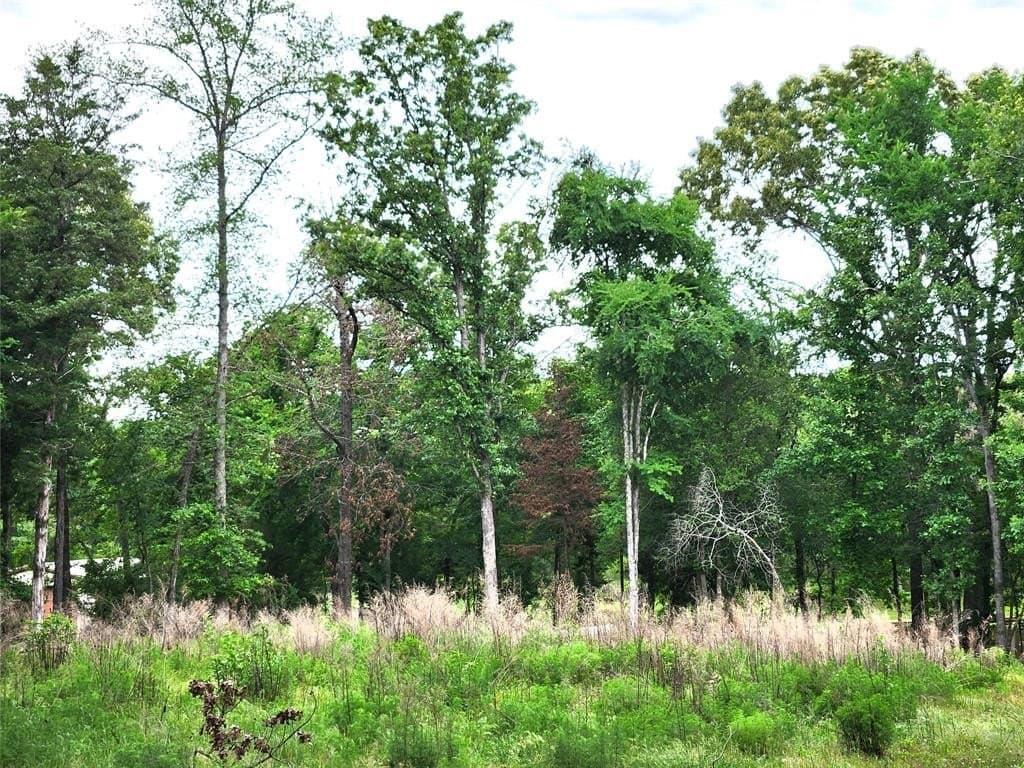 1.07 acres in Henderson County featured view