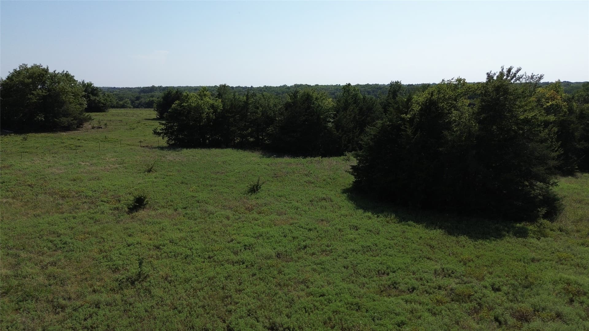 5.19 acres in Fannin County - photo 8