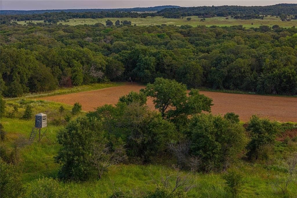 91.68 acres in Jack County gallery image 4
